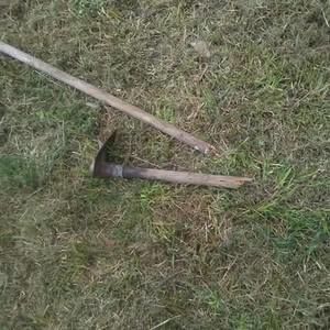 Meet your Posher, Rodney